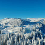 Претходна провјера тржишта у поступку набавке „Набавка промотивног материјала и прибора за потребе Општине “